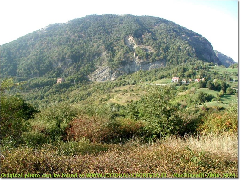 Monte Maggio visto dal M. Albarino - Savignone - <2001 - Panorami - Estate - Olympus Camedia 3000