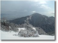 Fotografie Savignone - Panorami - Monte Vittoria ricoperto di neve