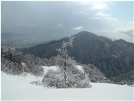  Monte Vittoria ricoperto di neve - Savignone - 2005 - Panorami - Inverno - Voto: Non  - Last Visit: 26/6/2022 10.36.20 