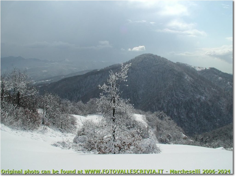 Monte Vittoria ricoperto di neve - Savignone - 2005 - Panorami - Inverno - Olympus Camedia 3000