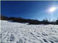  Montemaggio, tundra innevata - Savignone - 2021 - Panorami - Inverno - Voto: Non  - Last Visit: 3/3/2024 16.58.31 