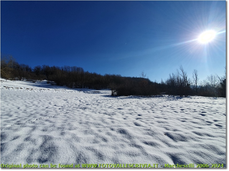 Montemaggio, tundra innevata - Savignone - 2021 - Panorami - Inverno - HTC One/Nokia C7/Samsung S7/S10