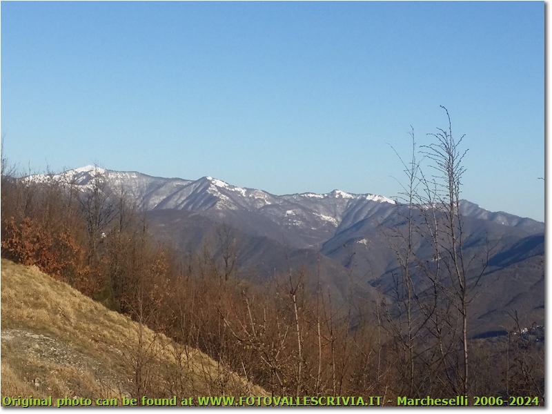 Monti Liguri: Neve sul M. Antola  - Savignone - 2015 - Panorami - Inverno - Altro/Other