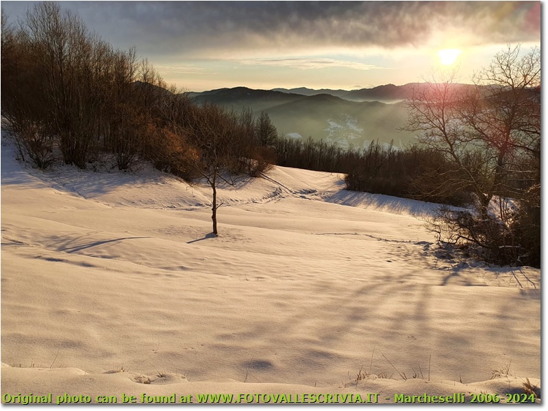 Neve a Montemaggio - Savignone - 2022 - Panorami - Inverno - HTC One/Nokia C7/Samsung S7/S10