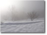 Fotografie Savignone - Panorami - Neve e Nebbia a Montemaggio