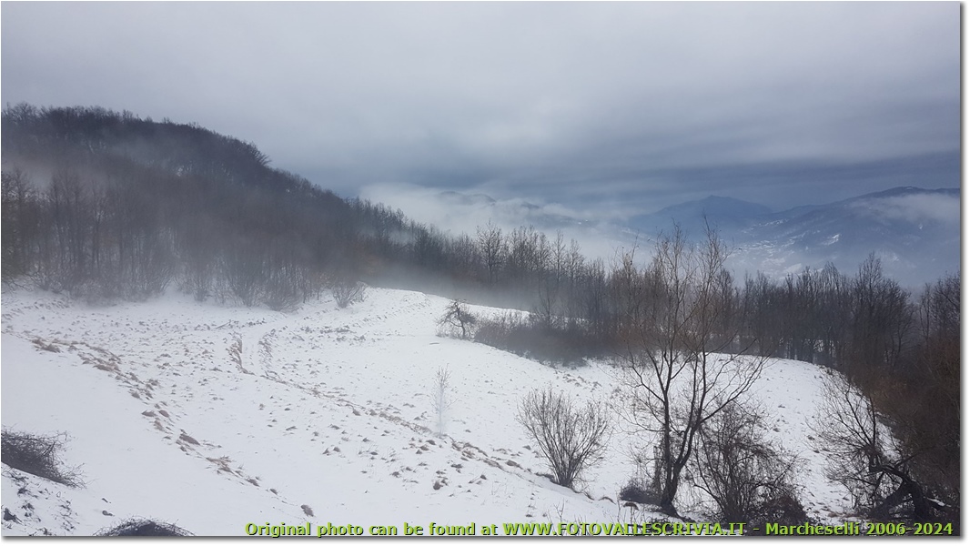 Neve che evapora a Montemaggio - Savignone - 2018 - Panorami - Inverno - HTC One S Nokia C7-00 (o altro cell)