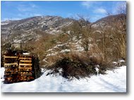 Foto Savignone - Panorami - Neve di Marzo: Monte Pianetto