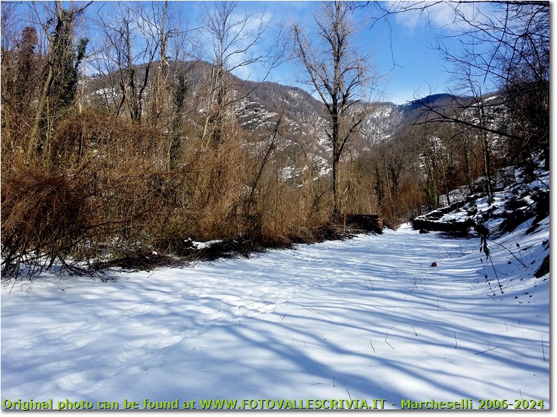 Neve di Marzo: crinale monti Pianetto-Brughea-Carmo - Savignone - 2018 - Panorami - Inverno - HTC One S Nokia C7-00 (o altro cell)