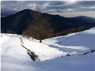  Neve di Marzo: luci e ombre sul Monte Fuea - Savignone - 2018 - Panorami - Inverno - Voto: Non  - Last Visit: 15/5/2022 18.31.29 