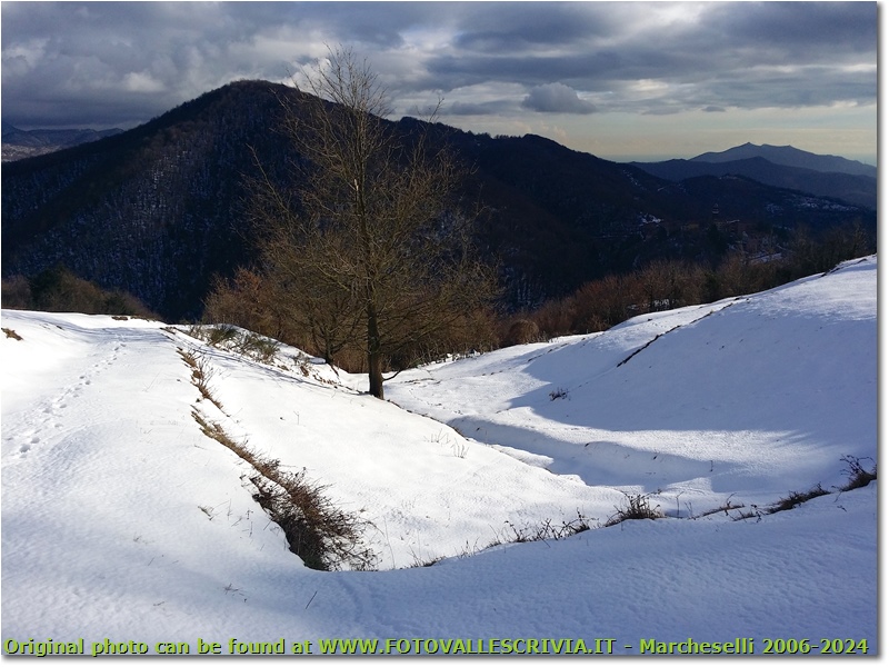 Neve di Marzo: luci e ombre sul Monte Fuea - Savignone - 2018 - Panorami - Inverno - HTC One S Nokia C7-00 (o altro cell)
