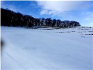  Neve di Marzo: i pascoli del Monte Cappellino - Savignone - 2018 - Panorami - Inverno - Voto: Non  - Last Visit: 24/9/2023 4.29.20 