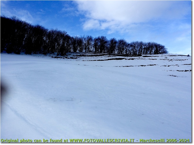 Neve di Marzo: i pascoli del Monte Cappellino - Savignone - 2018 - Panorami - Inverno - HTC One S Nokia C7-00 (o altro cell)