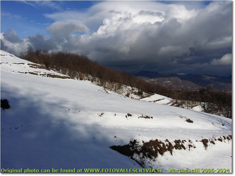 Neve di Marzo: i prati del Monte Cappellino - Savignone - 2018 - Panorami - Inverno - HTC One S Nokia C7-00 (o altro cell)