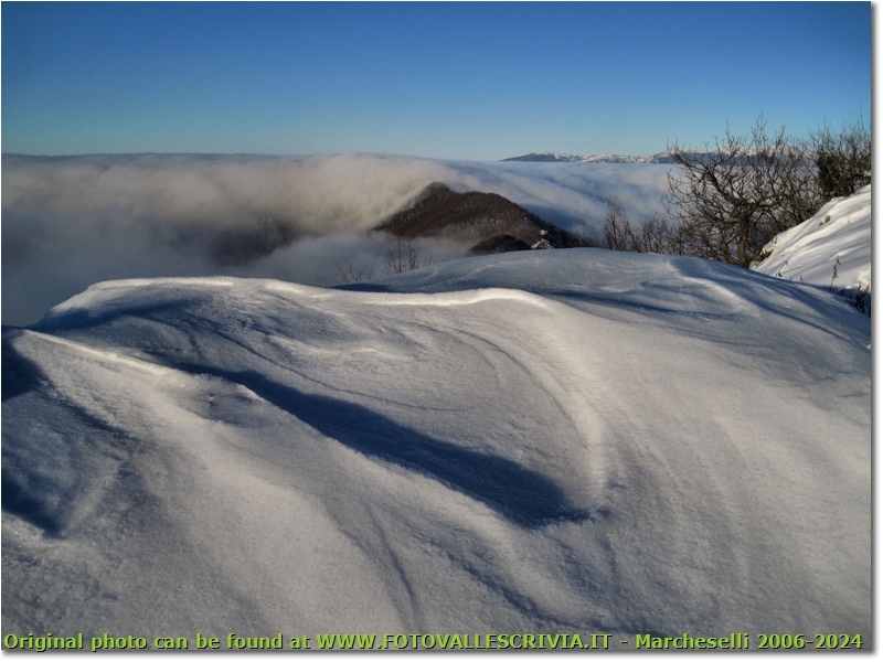 Neve e nebbia sul Monte Maggio - Savignone - 2010 - Panorami - Inverno - Canon Ixus 980 IS