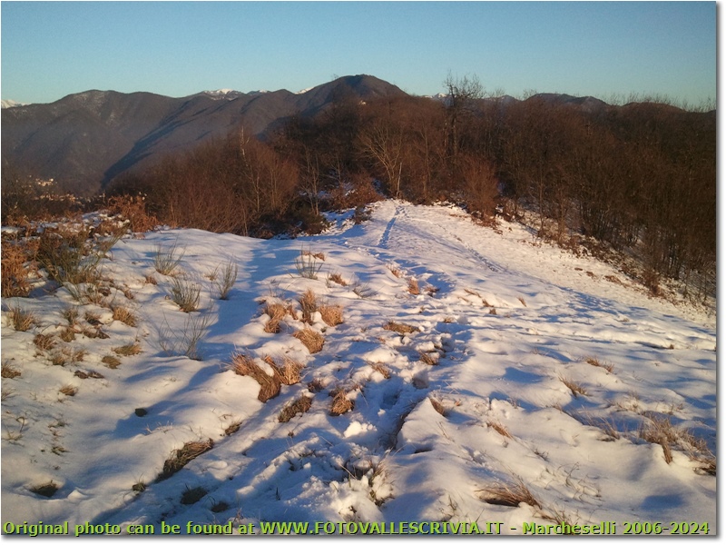 Neve sul Monte Cappellino - Savignone - 2013 - Panorami - Inverno - Canon Ixus 980 IS