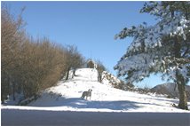  Neve sul M. Pianetto - Savignone - 2006 - Panorami - Inverno - Voto: Non  - Last Visit: 21/9/2023 4.58.51 