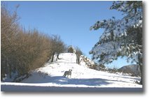 Fotografie Savignone - Panorami - Snow over M. Pianetto