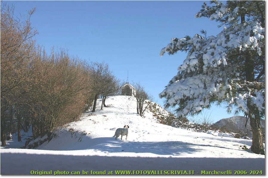 Neve sul M. Pianetto - Savignone - 2006 - Panorami - Inverno - Canon EOS 300D
