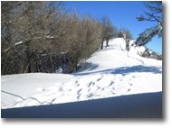 Foto Savignone - Panorami - Neve sul monte Pianetto