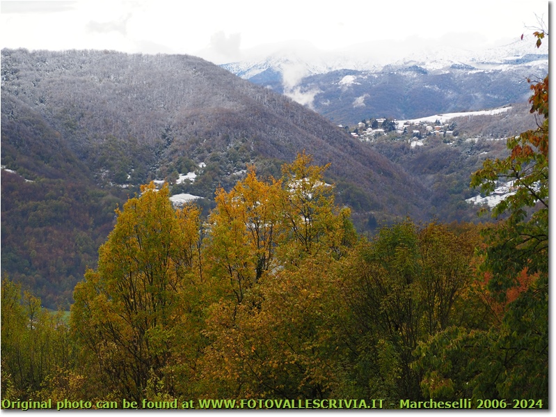 Novembre, la prima neve - Savignone - 2020 - Panorami - Inverno - Olympus OM-D E-M10 Mark III