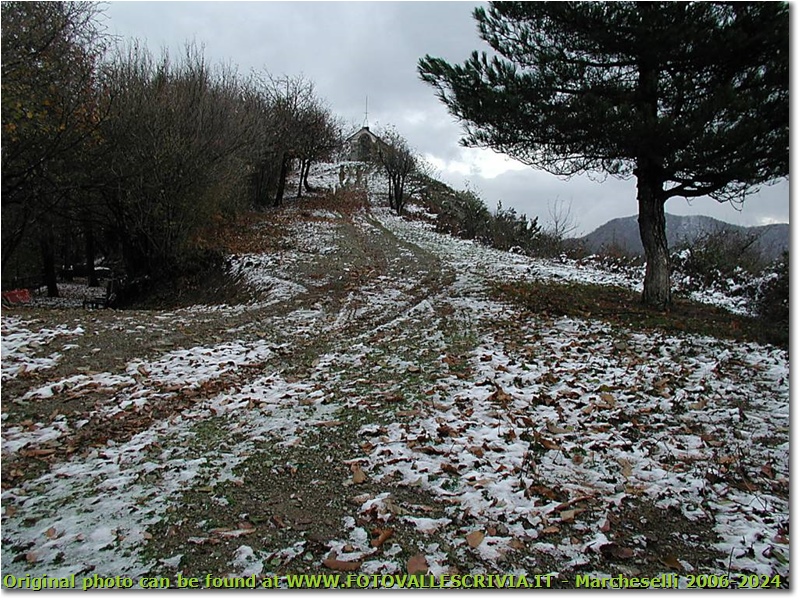 Novembre: si rivede la neve - Savignone - 2005 - Panorami - Inverno - Olympus Camedia 3000