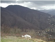  Nubi minacciose su M. Maggio - Savignone - 2002 - Panorami - Inverno - Voto: 6    - Last Visit: 6/10/2023 0.24.22 