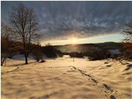  Ombre del tramonto sui prati innevati a Montemaggio - Savignone - 2022 - Panorami - Inverno - Voto: Non  - Last Visit: 25/5/2024 9.27.41 