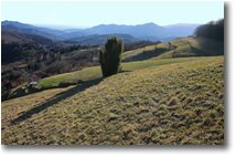 Fotografie Savignone - Panorami - Panorama sulla Val Polcevera