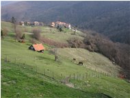  Pascoli a Gualdrà - Savignone - 2005 - Panorami - Estate - Voto: Non  - Last Visit: 28/4/2023 23.43.28 