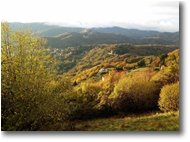 Fotografie Savignone - Panorami - Pendici M. Cappellino: Passo dei Giovi