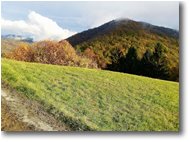 Foto Savignone - Panorami - Pendici M. Cappellino: panorama autunnale