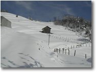 Fotografie Savignone - Panorami - Pendici Monte Cappellino innevate