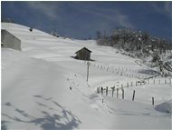  Pendici Monte Cappellino innevate - Savignone - 2005 - Panorami - Inverno - Voto: Non  - Last Visit: 4/12/2022 5.46.21 