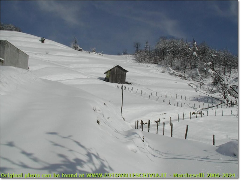 Pendici Monte Cappellino innevate - Savignone - 2005 - Panorami - Inverno - Olympus Camedia 3000