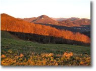 Foto Savignone - Panorami - Pendici Monte Cappellino