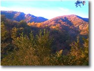 Fotografie Savignone - Panorami - Pendici M: Pianetto