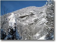Foto Savignone - Panorami - Pendii del Monte Pianetto
