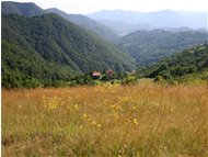  Prato estivo in località Fontanini - Savignone - 2005 - Panorami - Estate - Voto: Non  - Last Visit: 20/9/2023 1.18.46 