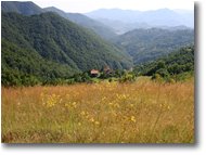 Fotografie Savignone - Panorami - Prato estivo in località Fontanini