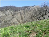  Primi accenni di primavera al Castello Fieschi - Savignone - 2018 - Panorami - Inverno - Voto: Non  - Last Visit: 25/9/2023 2.41.52 