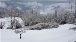  Risveglio innevato, 3 marzo 2018 - Savignone - 2018 - Panorami - Inverno - Voto: Non  - Last Visit: 26/9/2023 17.35.9 