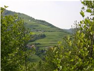  Savignone: I prati di Gualdrà - Savignone - 2005 - Panorami - Estate - Voto: Non  - Last Visit: 27/4/2023 0.52.19 