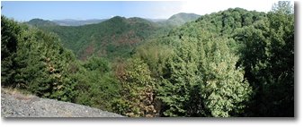 Fotografie Savignone - Panorami - Siccità 2003: Savignone: I boschi del Pianetto
