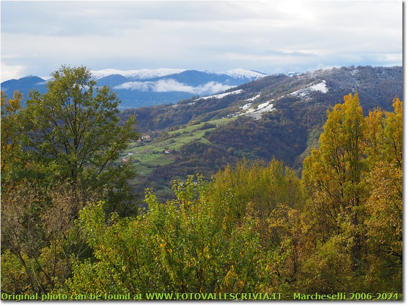 Spolverata di neve sopra a Gualdrà - Savignone - 2020 - Panorami - Inverno - Olympus OM-D E-M10 Mark III