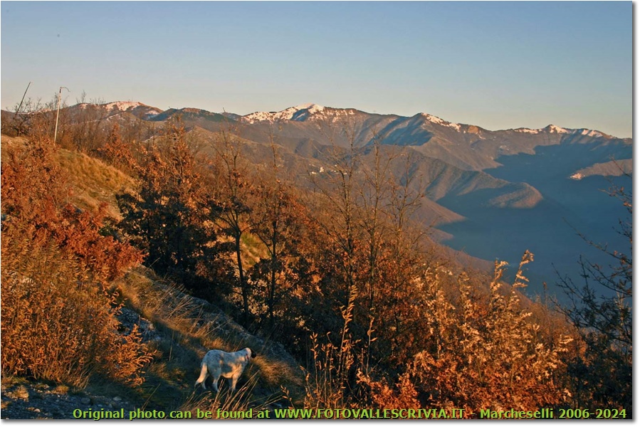 Un’altra foto dedicata al monte Antola - Savignone - 2006 - Panorami - Inverno - Canon EOS 300D