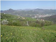  Un altra primavera a Gualdrà - Savignone - 2002 - Panorami - Estate - Voto: Non  - Last Visit: 25/9/2023 5.6.5 