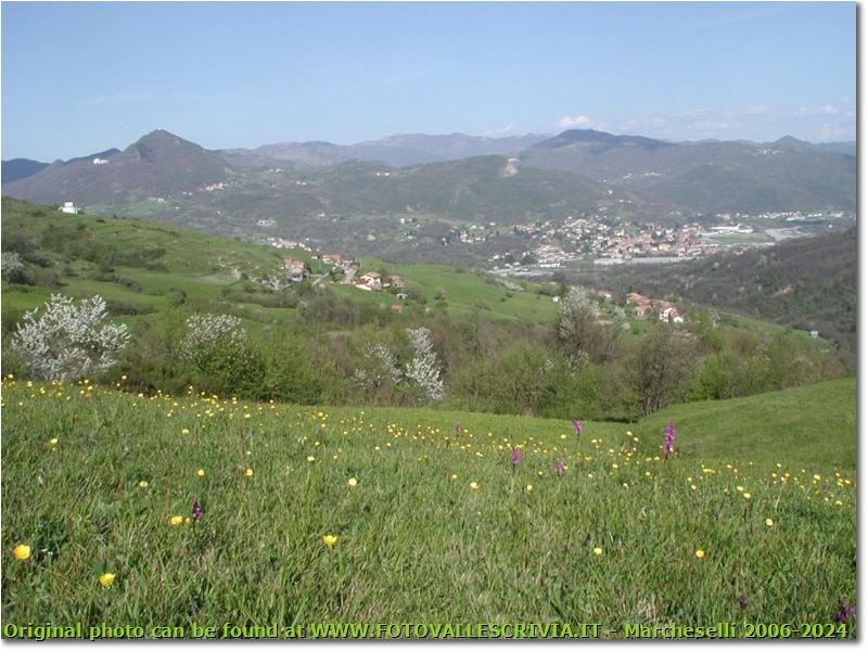 Un altra primavera a Gualdrà - Savignone - 2002 - Panorami - Estate - Olympus Camedia 3000