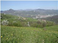  Un altra primavera a Gualdrà - Savignone - 2002 - Panorami - Estate - Voto: Non  - Last Visit: 26/6/2022 16.1.20 
