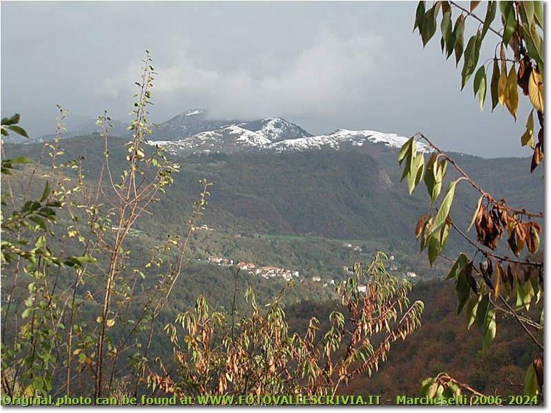 Un breve anticipo di inverno - Savignone - 2005 - Panorami - Inverno - Olympus Camedia 3000