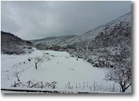 Foto Savignone - Panorami - Un po' di neve in anni di scarse precipitazioni